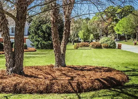 mulching & pine straw7