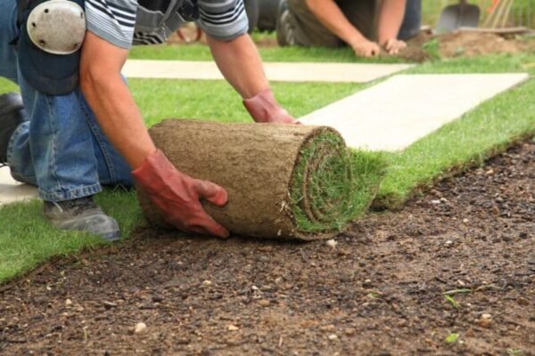 sod installation 8