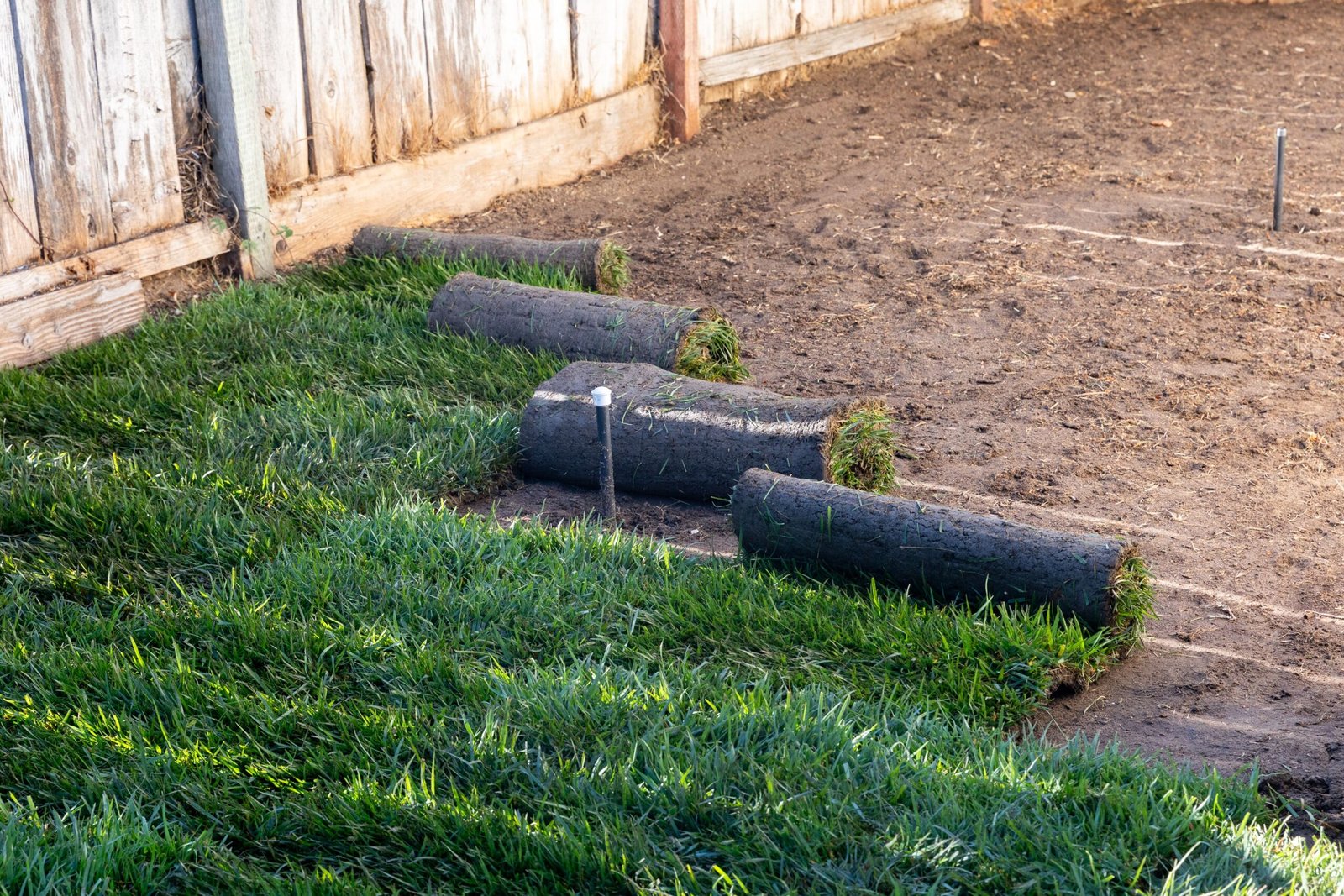 sod installation2