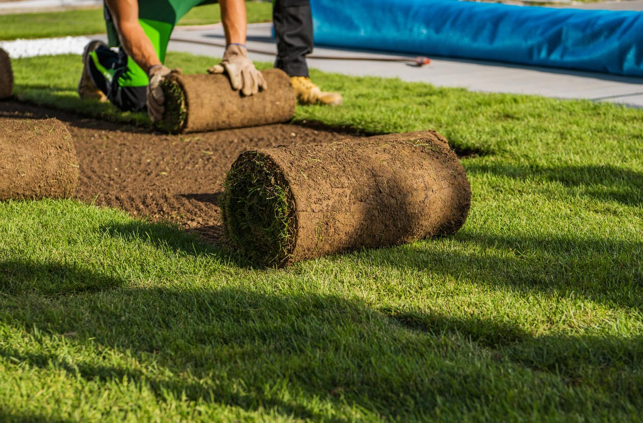 sod installation7